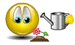 smilie